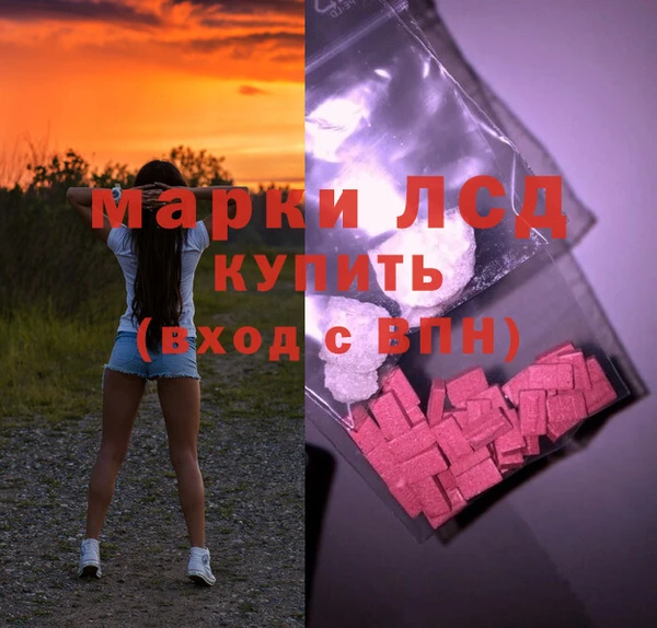 индика Армянск