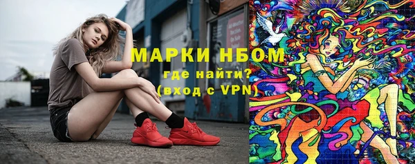 индика Армянск