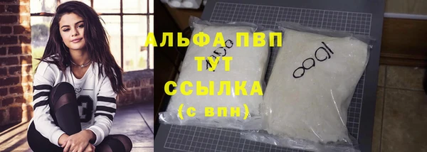 индика Армянск