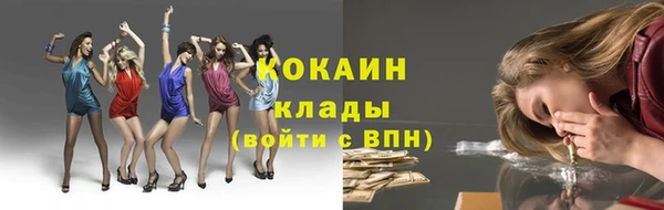 индика Армянск