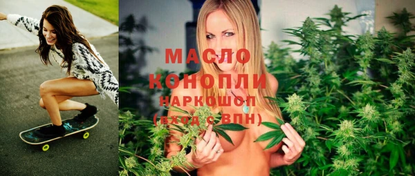 индика Армянск