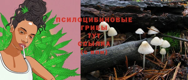 индика Армянск