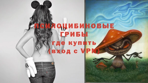 ALPHA PVP Аркадак