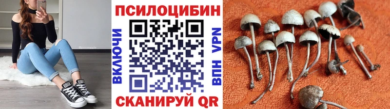 Галлюциногенные грибы Cubensis  магазин продажи наркотиков  Исилькуль 